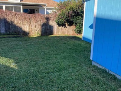 Lawn Care service in North Andover, 01845