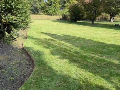 Lawn Care service in Potomac, 20036