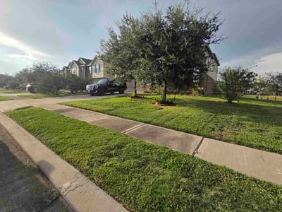 Lawn Care service in Winnie, 77665