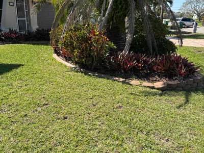 Lawn Care service in Miami Gardens, 33056