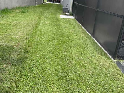 Lawn Care service in Windermere, 34786