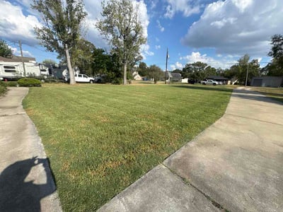 Lawn Care service in Baytown, 77520