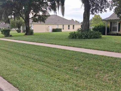 Lawn Care service in Mount Dora, 32757