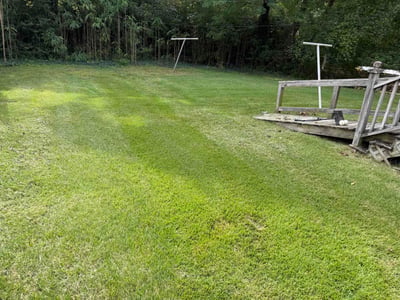 Lawn Care service in Powhatan, 23139
