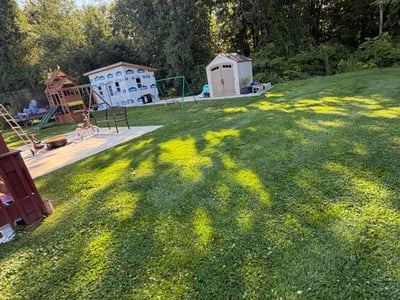 Lawn Care service in East Haven, 06512