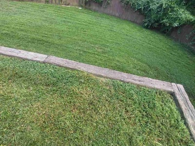 Lawn Care service in East Haven, 06512