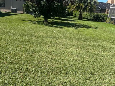 Lawn Care service in ,