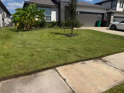Lawn Care service in Katy, 77493