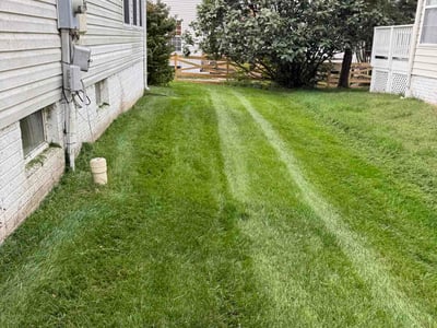 Lawn Care service in Sterling, 20164