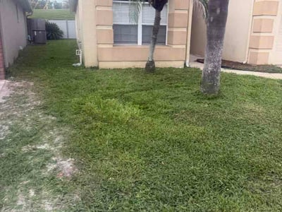 Lawn Care service in Lake Mary, 32746