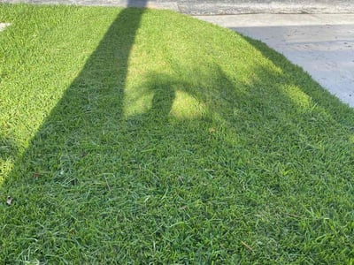 Lawn Care service in Boynton Beach, 33426