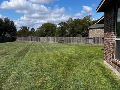 Lawn Care service in Fresno, 77545