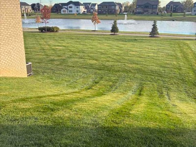 Lawn Care service in Pontiac, 48342