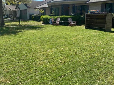 Lawn Care service in Fresno, 77545