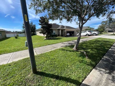 Lawn Care service in Groveland, 34736