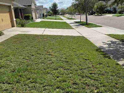 Lawn Care service in Groveland, 34736