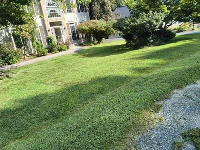 Lawn Care service in Stafford, 22554