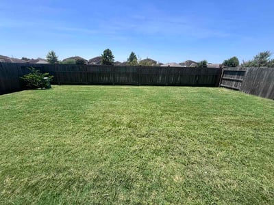 Lawn Care service in Seabrook, 77586