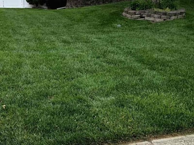 Lawn Care service in Stafford, 22554