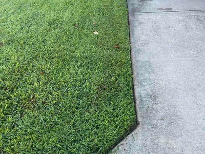 Lawn Care service in Purcellville, 20132
