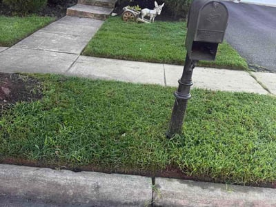 Lawn Care service in Bristow, 20136