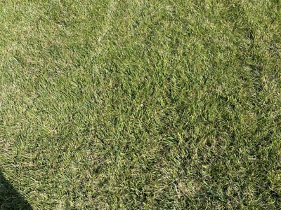 Lawn Care service in American Fork, 84003