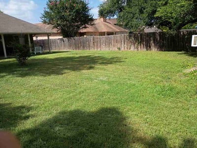 Lawn Care service in Shavano Park, 78231