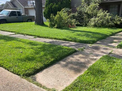 Lawn Care service in Shavano Park, 78231