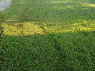 Lawn Care service in Magnolia, 77355