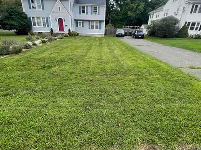 Lawn Care service in Deep River, 06417