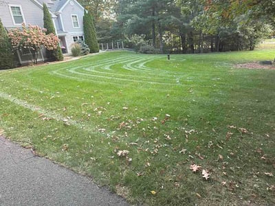 Lawn Care service in Deep River, 06417