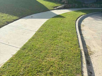 Lawn Care service in Saginaw, 76179