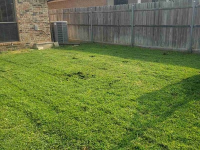 Lawn Care service in Saginaw, 76179