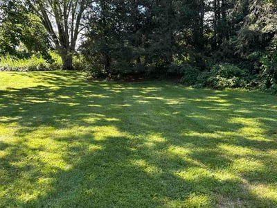 Lawn Care service in Hamden, 06518