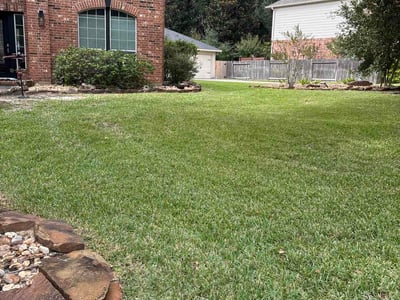 Lawn Care service in Lake Jackson, 77566