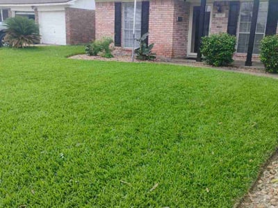 Lawn Care service in Lake Jackson, 77566