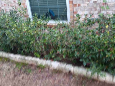Lawn Care service in White Settlement, 76108