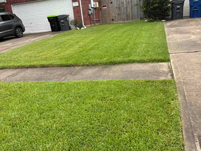Lawn Care service in La Marque, 77568