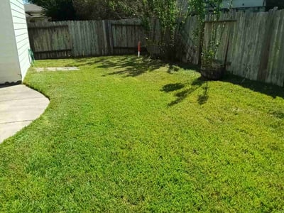 Lawn Care service in Rosenberg, 77471