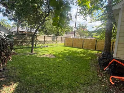 Lawn Care service in Sugar Land, 77479