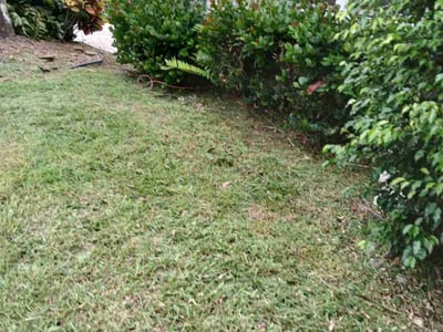 Lawn Care service in Miramar, 33025