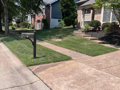 Lawn Care service in Cheshire, 06410