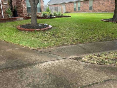 Lawn Care service in Rosharon, 77583