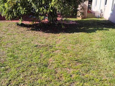 Lawn Care service in Deerfield Beach, 33441