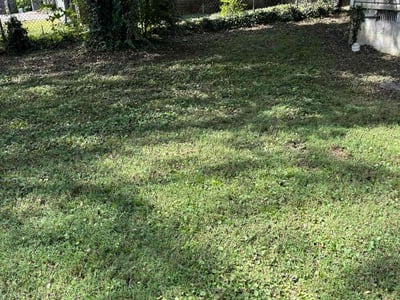 Lawn Care service in Cheshire, 06410