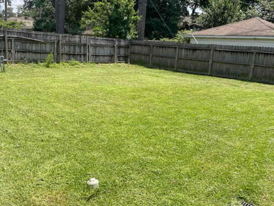 Lawn Care service in Kingwood, 77339