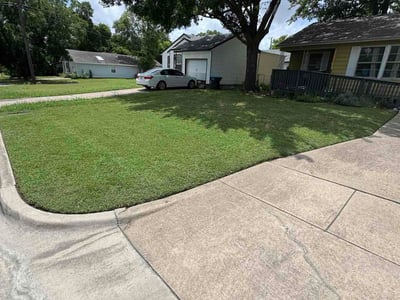 Lawn Care service in Forest Hill, 76140