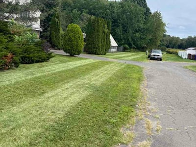 Lawn Care service in Enfield, 06082