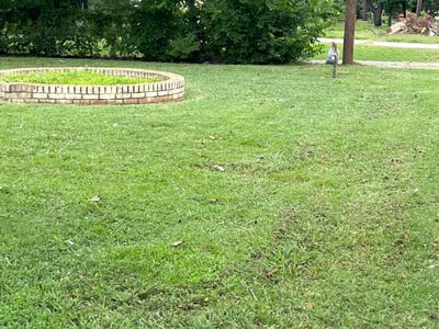 Lawn Care service in Forest Hill, 76140