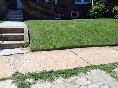 Lawn Care service in Olney, 20832